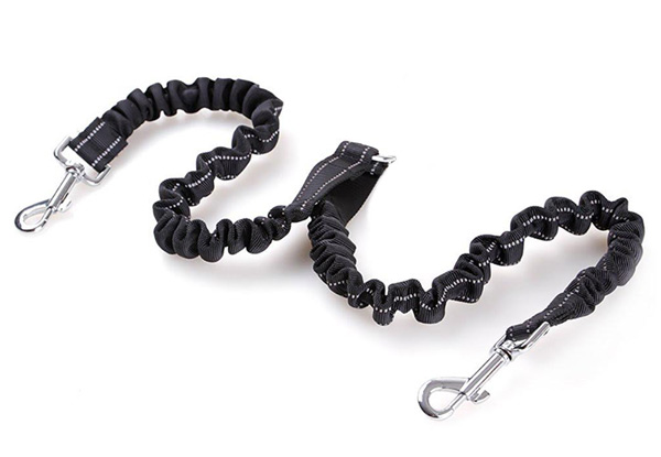 Retractable Dual Hook Dog Lead