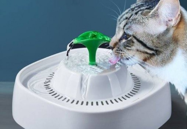 Cat Leaf Water Fountain