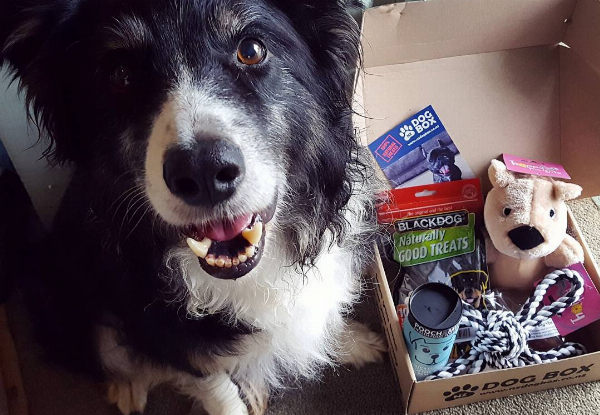 NZ DOG BOX Surprise Box - Two Options Available