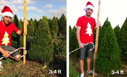 From $25 for a Christmas Tree incl. Removal after Christmas (value up to $70) - Choose from Two Sizes & Six Pickup Locations
