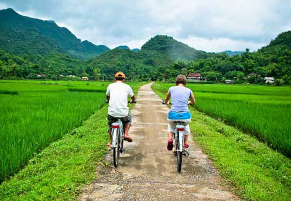 Per Person Twin Share for a 15-Day Vietnam Tour Package incl. Accommodation, Meals as Indicated, Transfers, English Speaking Guides & More - Options for Three or Four Star Packages