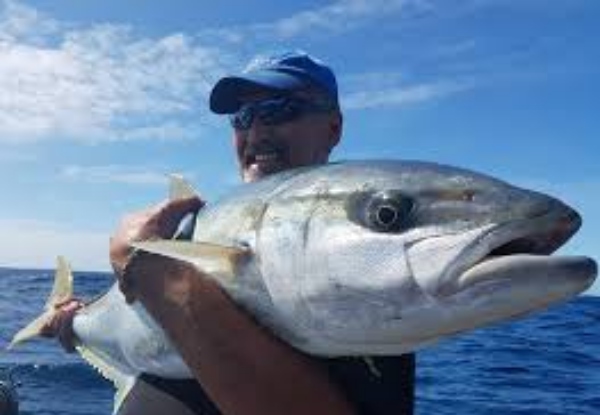 Per-Person, Half-Day Snapper Boat Charter Trip for up to Four-People - Option for Full-Day Kingfish Boat Charter Trip, Bay of Islands Only