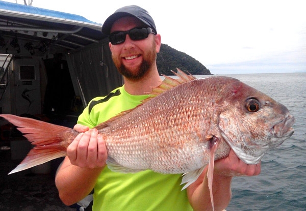 1 day fishing deals nz