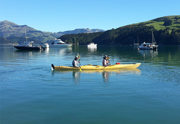 One Hour of  Wildlife Kayaking for Two People - Option for Two Hours