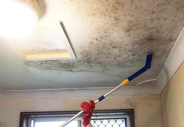 Indoor Mould Cleaning & Treatment for up to 12m2 - $99