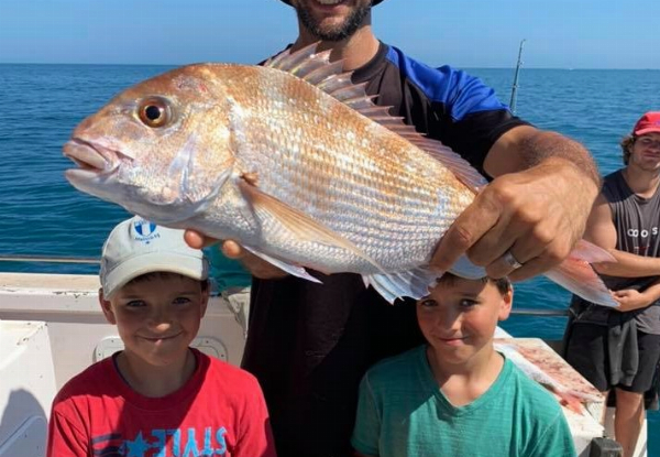 Four-Hour West Coast Fishing Trip for One incl. Gear Hire, Bait, Food, Fishing Spots, Maps & GPS Info - Options for a Six-Hour West Coast Inshore Fishing Trip in Cook Strait or Full-Day Deep Water Charter in Cook Strait for One incl. BBQ Lunch