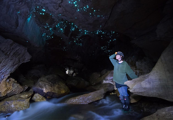 Three-Hour Glow Worm Adventure Eco Tour - Option for Two Available