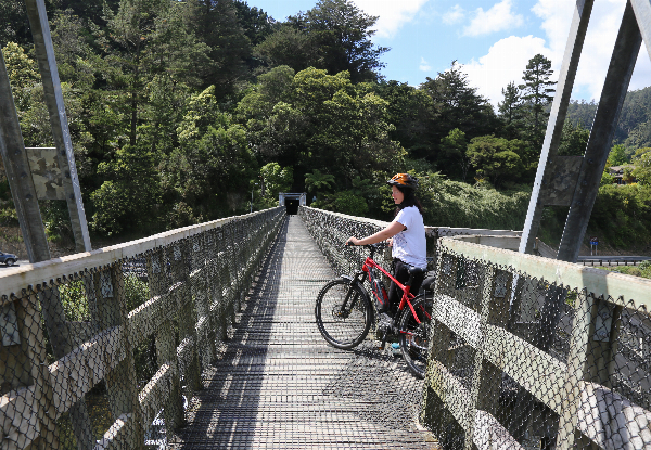 The Hauraki Rail Trail Bike Package incl. Full Day, E-Bike Hire, Pannier, Helmet & Shuttle for One Person - Option For Two People