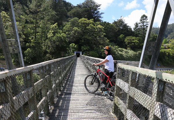 Weekday Hauraki Rail Trail Bike Package incl. Full Day E-Bike Hire, Pannier, Helmet & Shuttle for One Person - Option For Weekend Trail or Two People