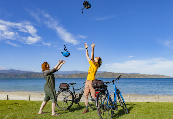 The Ultimate Wellington Bays & Petone Full-Day eBike Adventure - Options for Two & Four People