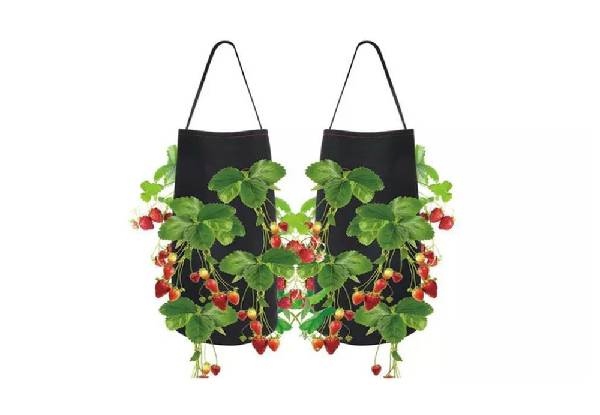 Hanging Strawberry Planting Grow Bag - Two Options Available