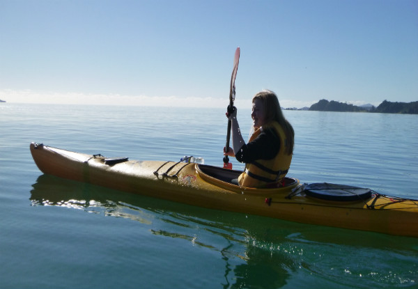 Half-Day Kayak Hire in Paihia for One Adult incl. Life Jacket, Map, All Safety Equipment, Use of Sunscreen & Dry Bag  - Options for Children & Family Hire