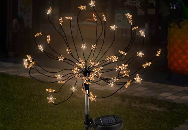 Two Solar-Powered Starburst Ground Lights - Option for Four
