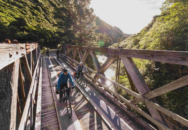 Four-Hour Mountain Bike Hire at Wildfinder Kaitoke