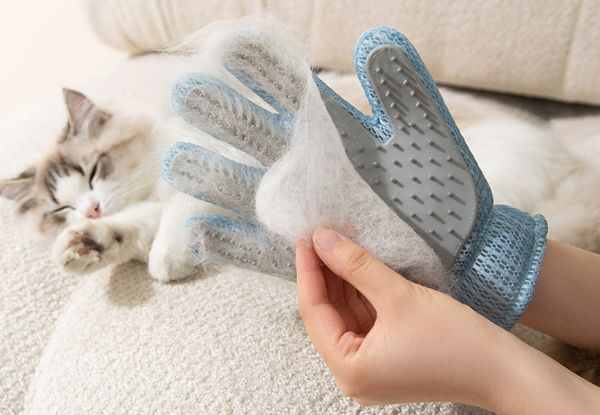 Pet Hair Removal Massage Comb
