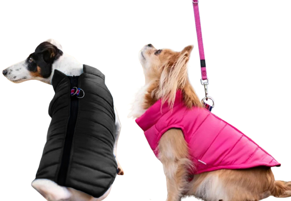 Warm Winter Dog Jacket - Available in Four Colours & Three Sizes