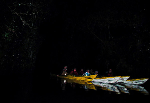 Three-Hour Glow Worm Adventure Kayak Trip for One Adult - Options for Child, Two Adults & a Family Pass - Valid from 1st May 2021