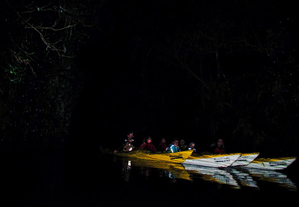 The Boatshed Kayaks • GrabOne NZ