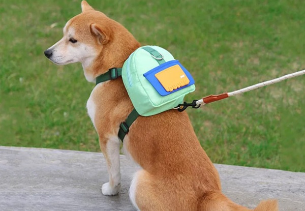 Adjustable Pet Snack Backpack Carrier with Harness - Available in Four Colours & Two Sizes