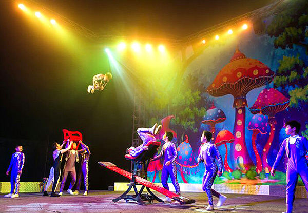 Adult Ticket to the Brand New 
'Cirque Grande' - Option for Child's Ticket Available