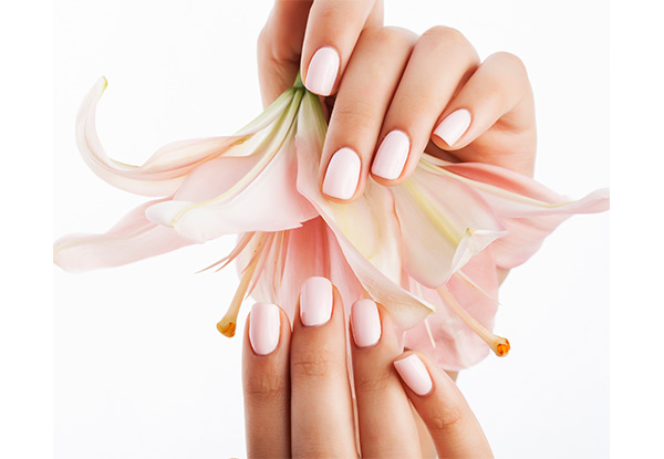 Exotic Pure Fiji Spa Manicure - Options for a Pedicure or for Four Pure Fiji Spa Manicure Sessions