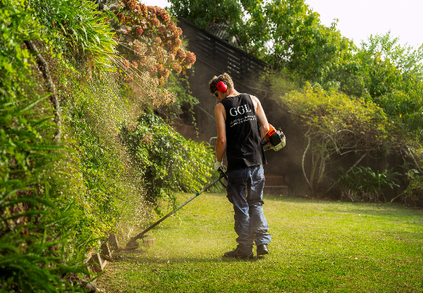 Two-Man-Hour Premium Garden Maintenance Package with Garden Waste Removal - Options for 4, 6, 8 or 10 Man Hours — photo 5