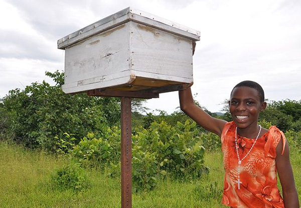 Gift a Beehive with World Vision Smiles