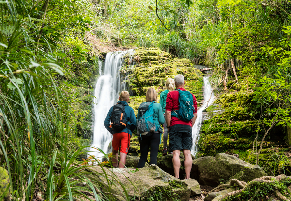 Queen Charlotte Track Day Walk with Cougar Line Cruise Transfers -
Walk Ship Cove/Meretoto to Resolution Bay - Options for Adult or Child