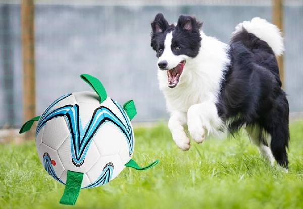Football Dog Toy with Grab Tabs