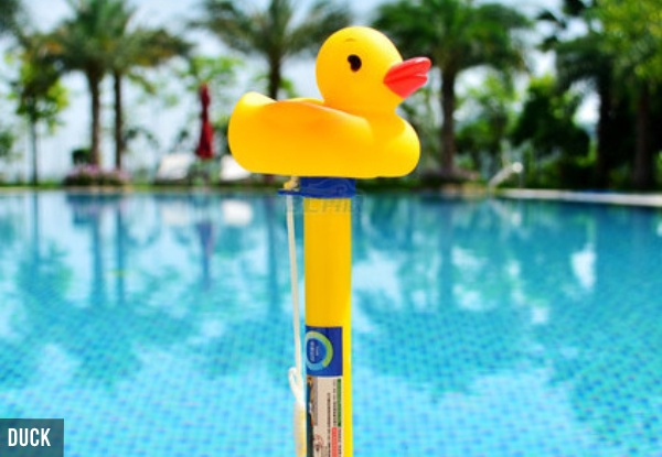Floating Swimming Pool Thermometer - Four Options Available