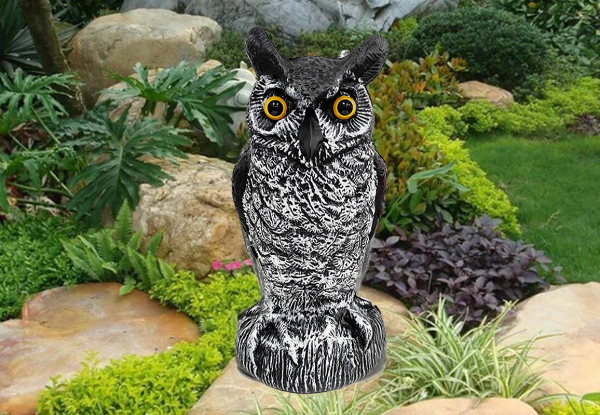 Large Garden Owl Decoy - Available in Two Colours