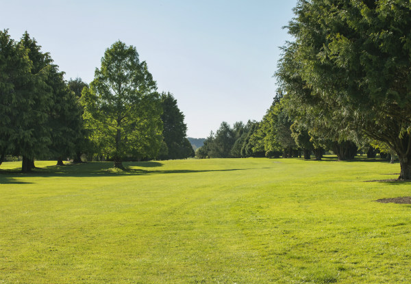 One-Year Golf Membership for One Person - Option for Two-Person Membership Available