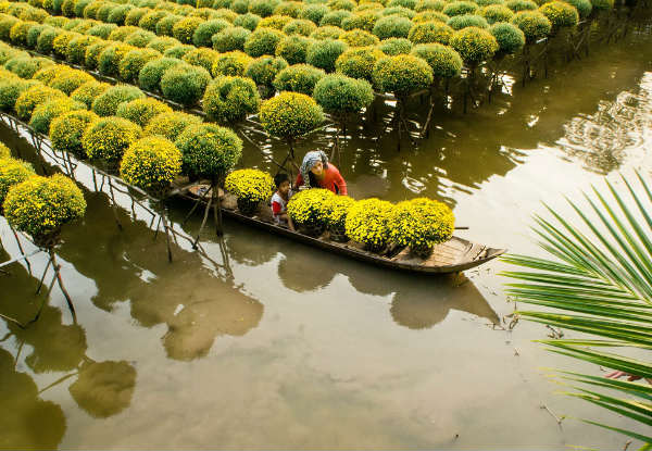 Per-Person Twin-Share Nine-Night, Ten-Day North to South Of Vietnam Tour incl. Guided Tours, Some Meals & Airport Transfers