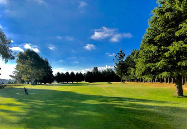 18 Holes & a Golf Cart for Two People incl. Bucket of Balls Each