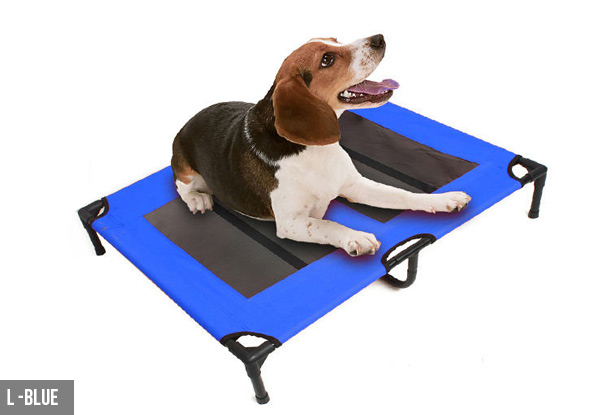 Dog Trampoline Bed - Two Colours & Two Sizes Available