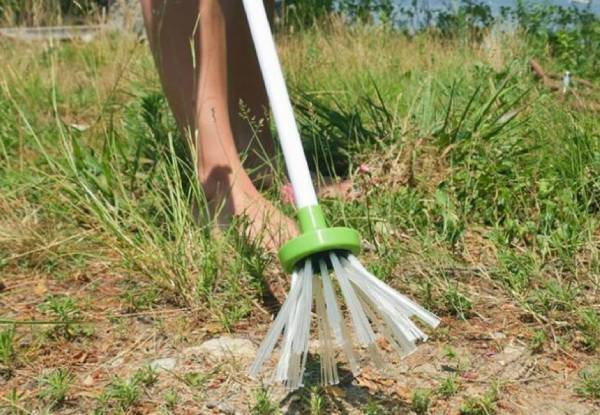 Handheld Insect Trap - Option for Two with Free Delivery