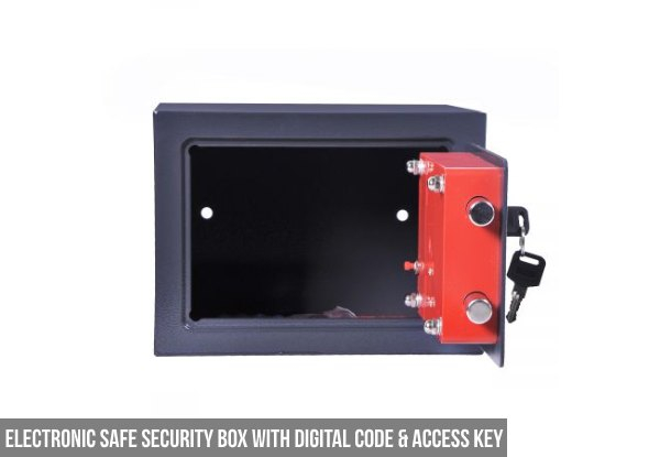 Electronic Safe - Two Options Available