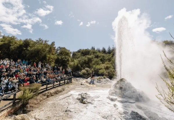 Wai-O-Tapu Thermal Wonderland & Lady Knox Geyser Family Pass for Five $126.26 or Adults $51.56