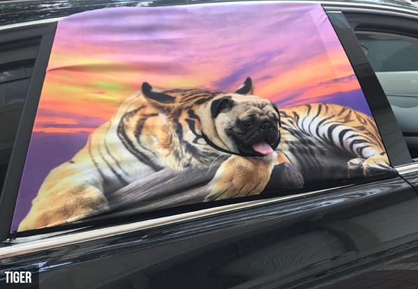 Dog Car Window Cover with Free Delivery - Five Styles Available