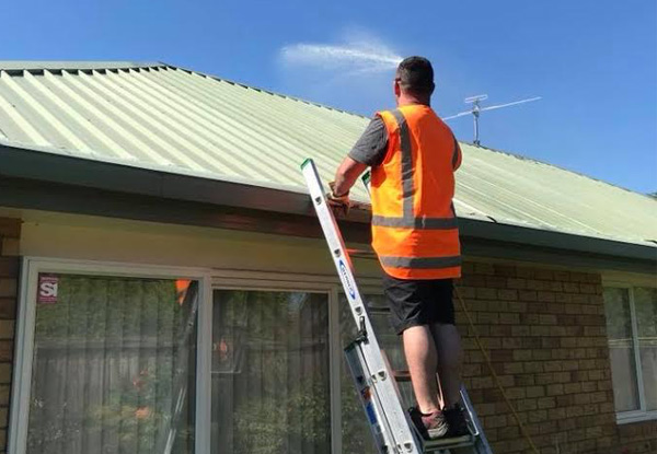 Moss, Mould & Lichen Roof Treatment Package