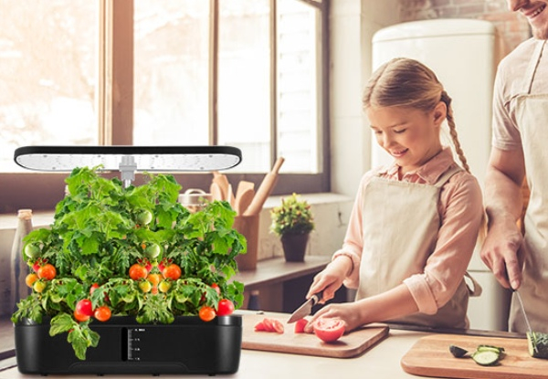 Hydroponics Indoor Growing System Kit - Two Options Available