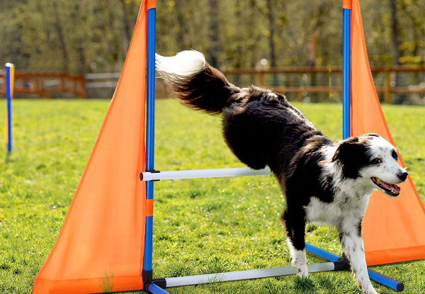 Seven-Piece Dog Agility Training Course Equipment