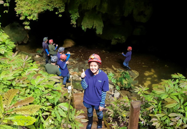 Three-Hour Glow Worm Adventure Eco Tour - Option for Two Available