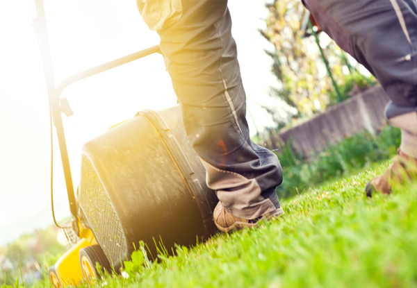 One-Hour of Lawn Mowing - Option for up 90-Minutes or Two-Hours