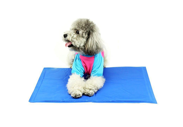 $16.90 for a Large Cooling Gel Pet Mat or $19.90 for an XL Mat