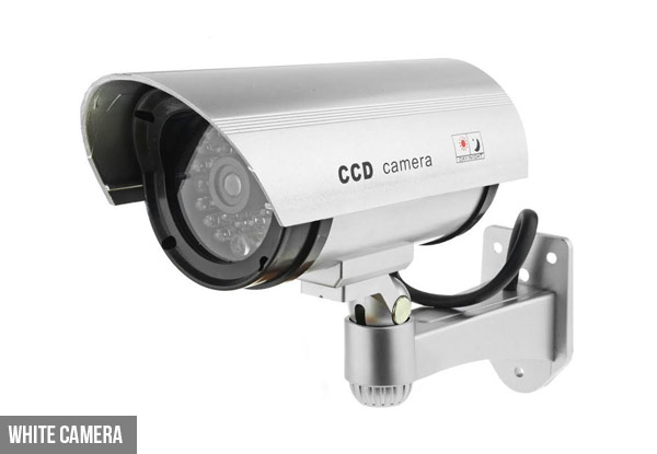 Dummy Security Cameras with Blinking Red Light - Two Types Available