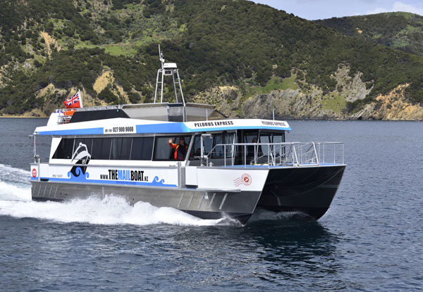 Mail Boat Winter Special Day Trip Through the Pelorus Sounds