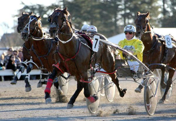 Christmas at the Races Buffet incl. Two Drinks & Dinner for Eight People - Options for Nine & Ten People Available