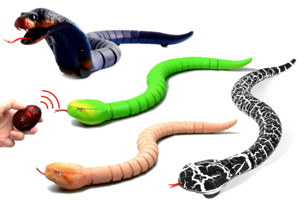 Remote Control Snake - Four Colours Available with Free Delivery