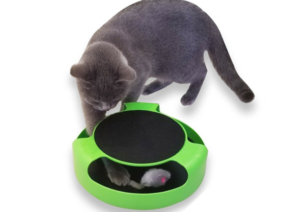 Cat Interactive Scratching Toy